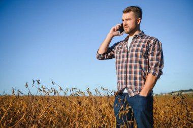 Soya fasulyesi çiftliğinin fotoğraflarını çeken çiftçi. Kalite kontrolü. Agronomistin işi. Brezilya Çiftliği.