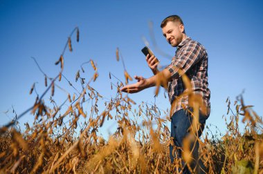 Soya fasulyesi çiftliğinin fotoğraflarını çeken çiftçi. Kalite kontrolü. Agronomistin işi. Brezilya Çiftliği.