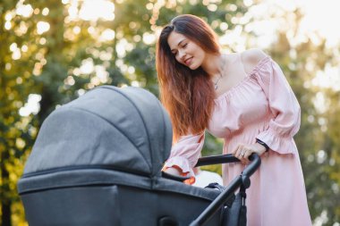 mutlu genç anne ile bebek arabası sonbahar parkta yürüyüş