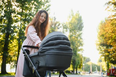 güzel ve genç kadın anne ve Bebek arabasındaki bebek parkta yürüyüş