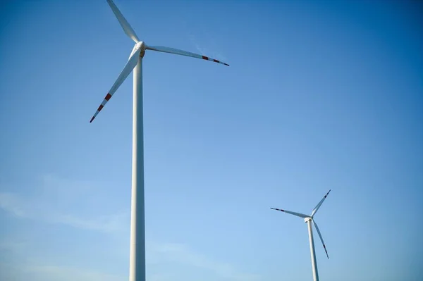 Wind Turbines Green Field Blue Sky — Stock Photo, Image