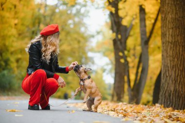 kadın ile köpek parkta yürüyüş