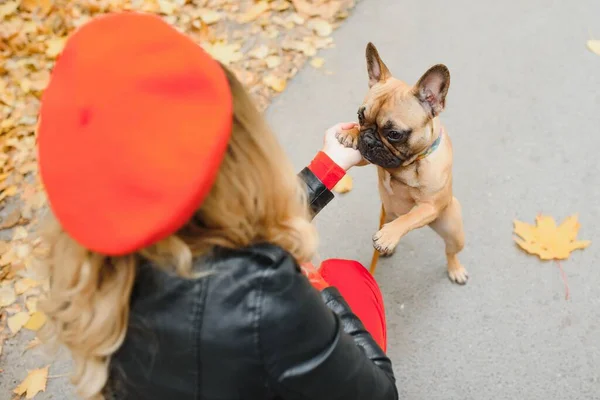 Frau Mit Hund Geht Park Spazieren — Stockfoto