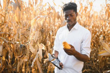 Bir çiftlikte Afrikalı çiftçinin elinde tuttuğu mısırı kapat..