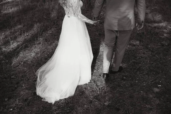 Mani Della Sposa Dello Sposo Primo Piano — Foto Stock