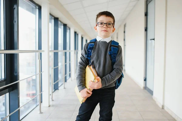 Porträt Eines Glücklichen Schülers Schlaue Kinderbrillen Für Die Grundschule Stehen — Stockfoto