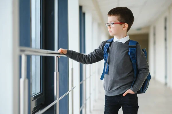 Portret Uroczego Ucznia Plecakiem Uczeń Plecakiem Szkole Wracamy Szkoły — Zdjęcie stockowe