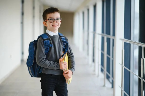 Joyeux Garçon Intelligent Mignon Dans Des Lunettes Avec Sac École — Photo