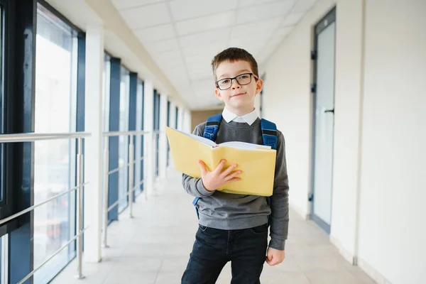 Porträt Eines Glücklichen Schülers Schlaue Kinderbrillen Für Die Grundschule Stehen — Stockfoto