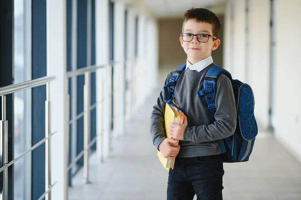 Menino Inteligente Bonito Feliz Óculos Com Saco Escolar Livro Sua — Fotografia de Stock