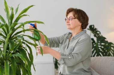 Ev bitkiler. Neşeli mutlu kadın bitki su ile püskürtme sırasında ayakta.