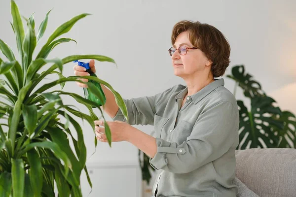 Ev bitkiler. Neşeli mutlu kadın bitki su ile püskürtme sırasında ayakta.