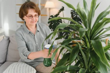 Ev bitkiler. Neşeli mutlu kadın bitki su ile püskürtme sırasında ayakta.