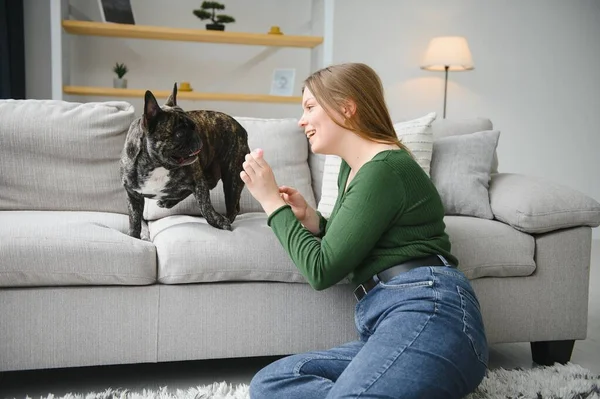 Female owner playing with joyful dog at home. Playing with dog concept.