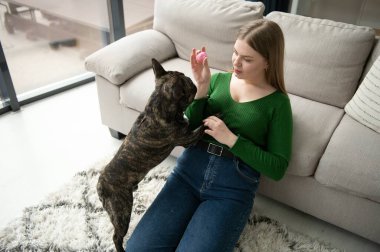 Kadın sahibi evde neşeli bir köpekle oynuyor. Köpek konseptiyle oynamak.