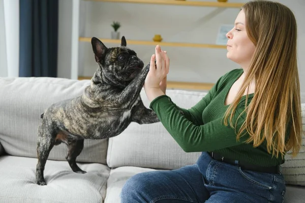 Female owner playing with joyful dog at home. Playing with dog concept.