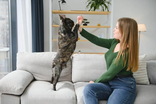 Mujer Joven Con Perro Casa Hermosa Mascota —  Fotos de Stock