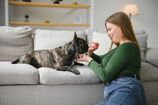 Female owner playing with joyful dog at home. Playing with dog concept.