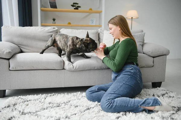 Female owner playing with joyful dog at home. Playing with dog concept.