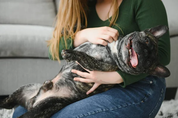 Mujer Joven Con Perro Casa Hermosa Mascota — Foto de Stock