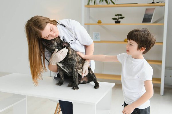 Veterinarian Woman Examines Dog Pet Her Animal Healthcare Hospital Professional Stock Image
