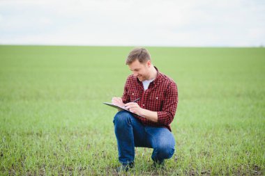 Genç bir çiftçi tarladaki buğday filizlerinin kalitesini kontrol eder. Tarım kavramı.