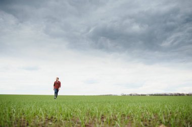 Genç bir çiftçi tarladaki buğday filizlerinin kalitesini kontrol eder. Tarım kavramı.