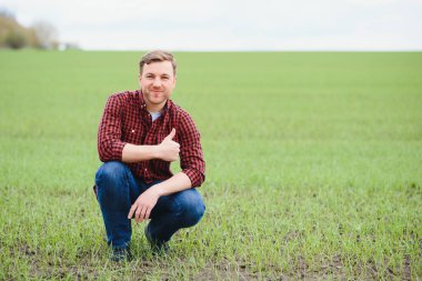 Yakışıklı çiftçi. Yeşil alanda yürüyen genç bir adam. Bahar tarım