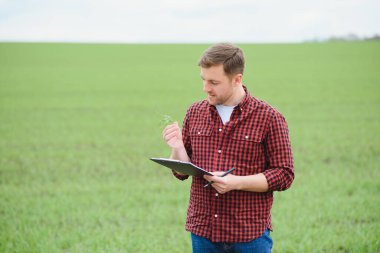 Buğday tarlasında duran çiftçinin portresi