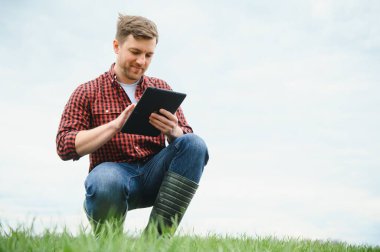 Genç bir çiftçi tarladaki buğday filizlerinin kalitesini kontrol eder. Tarım kavramı.