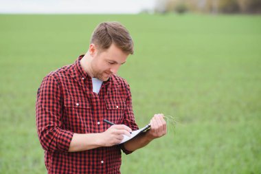 Genç bir tarım uzmanı yeşil buğday tarlasında elinde bir klasör tutuyor. Bir çiftçi gün batımında tarımın arka planına not alır. Belge klasörlü şapkalı bir adam..