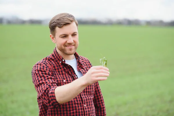 Porträt Eines Bauern Der Auf Einem Weizenfeld Steht — Stockfoto