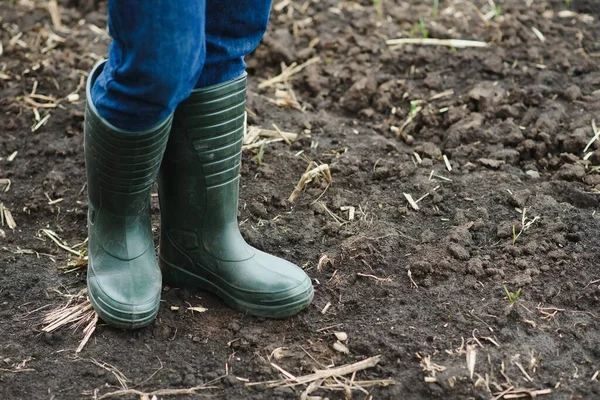 Dirty farmer\'s rubber boots walking on the field