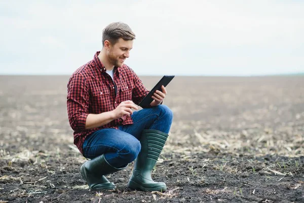 Mladý Pohledný Farmář Tabletu Podřepu Kukuřičném Poli Jaře Agropodnikání Inovace — Stock fotografie