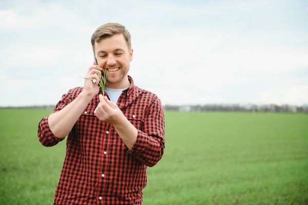 Ung Stilig Bonde Promenader Jordbruksmark Och Talar Mobiltelefon — Stockfoto