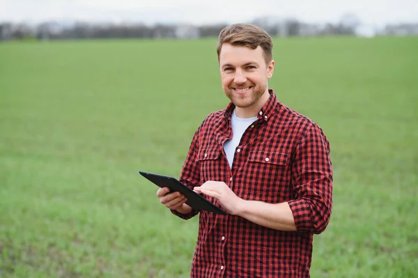 Jovem Agricultor Segurando Tablet Verificando Evolução Colheita Campo Trigo Verde — Fotografia de Stock