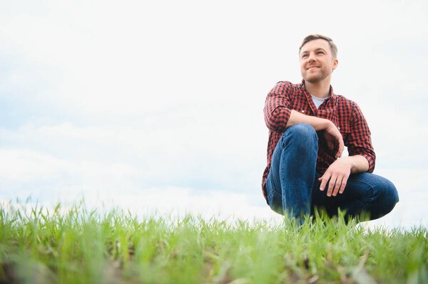 Молодой фермер проверяет качество ростков пшеницы в поле. Концепция сельского хозяйства.