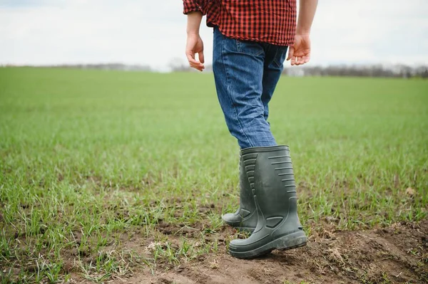 肮脏农民的橡胶靴在田里走来走去 — 图库照片