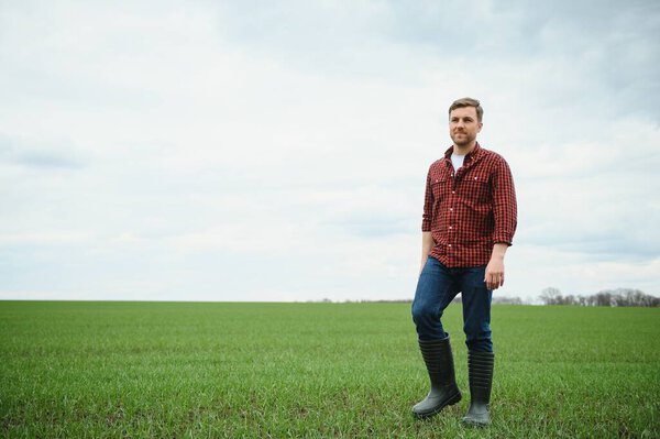Young Farmer Stands Green Field Checking Waiting Harvest Grow Royalty Free Stock Photos
