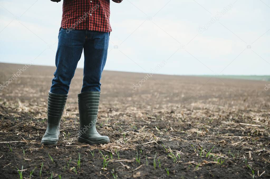 farmer standing in a plowed field. Agriculture, crop concept
