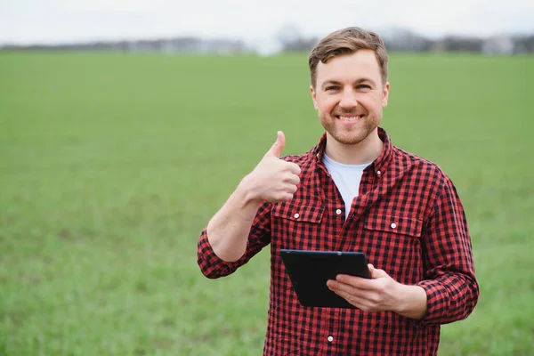 Retrato Del Agricultor Pie Campo Trigo — Foto de Stock