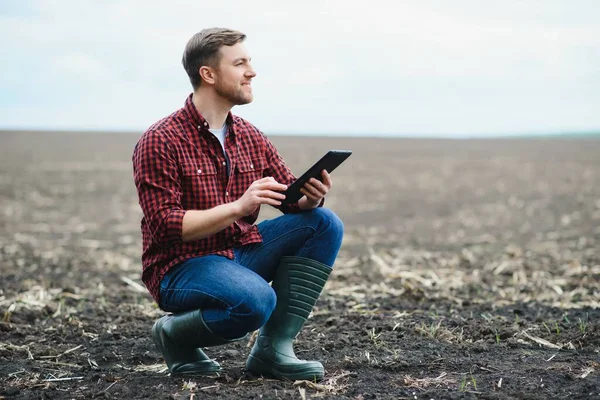 Agricultor Verifica Qualidade Solo Antes Semear Agricultora Com Uma Tábua — Fotografia de Stock