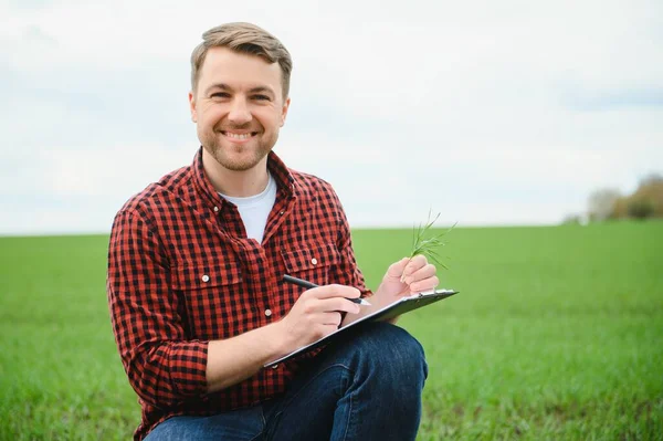 Retrato Joven Agricultor Campo — Foto de Stock