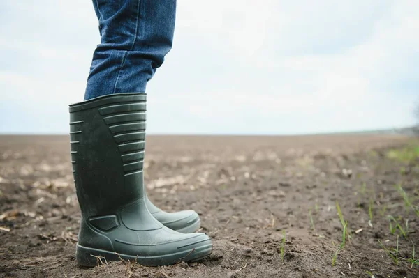 肮脏的农民的橡胶靴在雨路上行走 — 图库照片