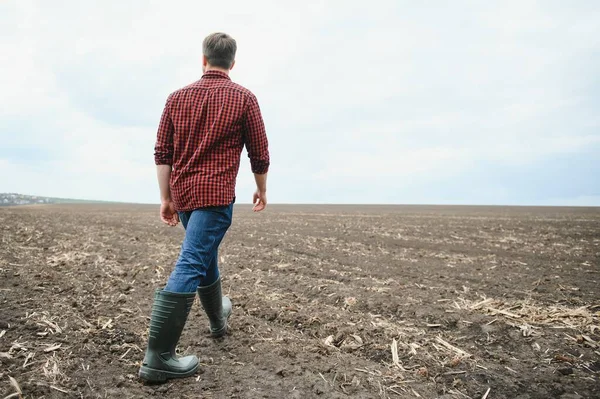 Farmer Walking Agricultural Fields — Stock Photo, Image