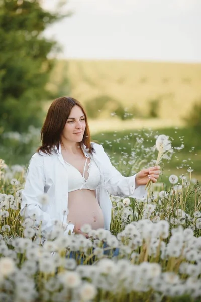 Joven Mujer Embarazada Feliz Relajarse Disfrutar Vida Naturaleza Disparo Aire — Foto de Stock