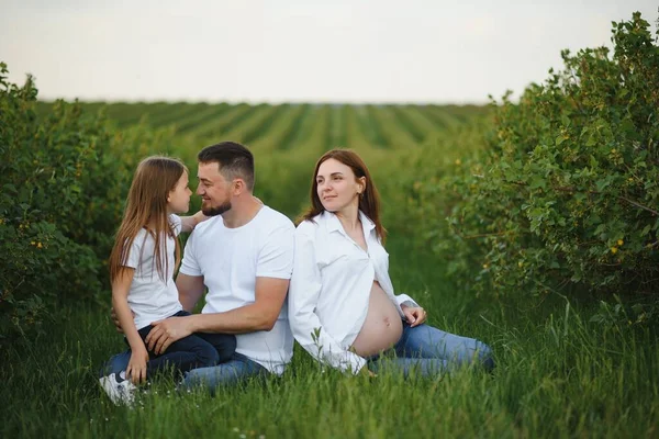 幸せな家族だ お父さん 妊娠中のお母さんと小さな娘は公園で夏の日没でゲームをプレイ — ストック写真