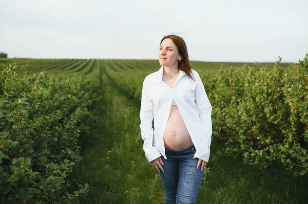 Jeune Femme Enceinte Heureuse Détendre Profiter Vie Dans Nature Prise — Photo