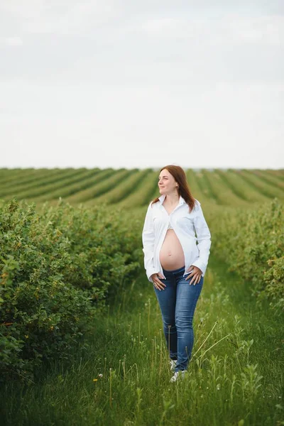 Mooie Zwangere Vrouw Ontspannen Buiten Het Park — Stockfoto