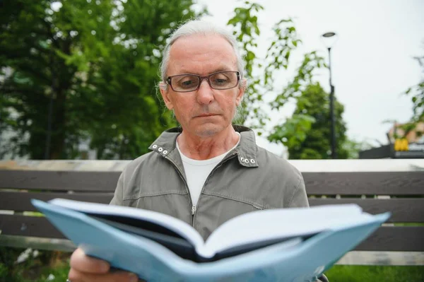 Gamling Med Grått Hår Läser Bok Bänk Parken Vila Parken — Stockfoto